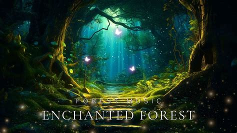 The Enchanted Forest: Where Imagination Comes Alive